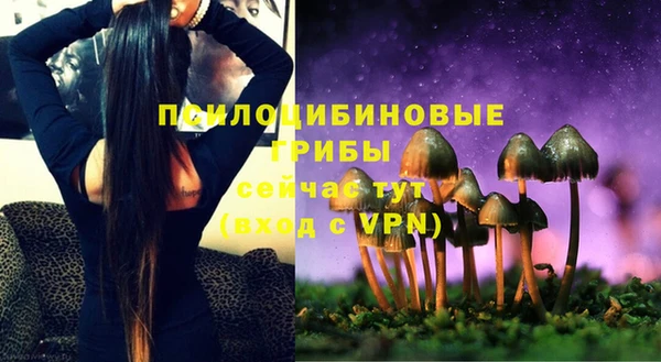 герыч Алексин